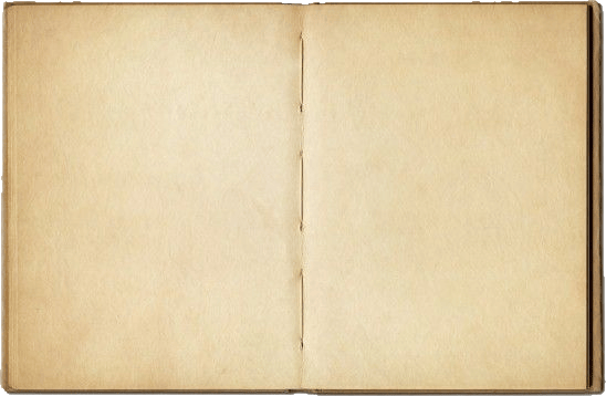 Open blank journal