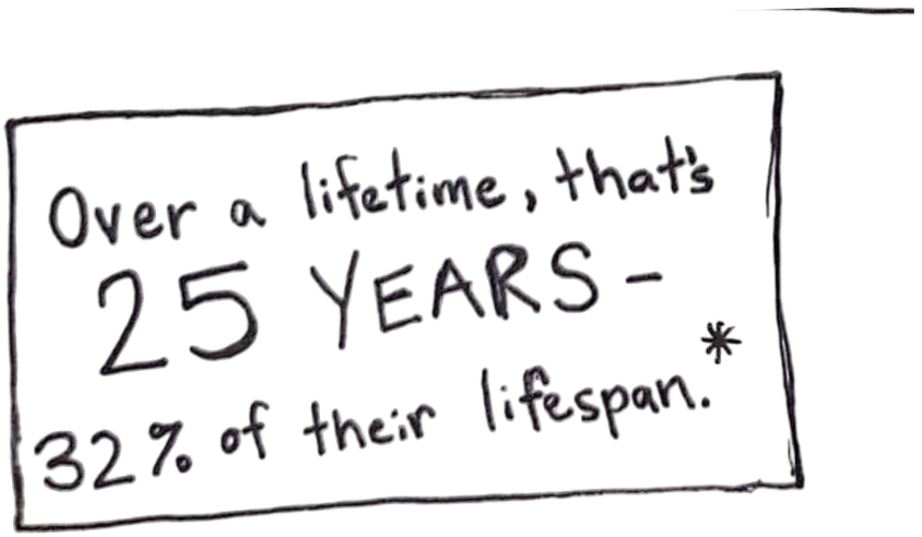 Over a lifetime, that's 25 years — 32% of their lifespan.